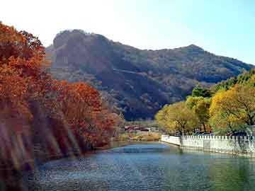 松江駕駛員招聘熱點(diǎn)信息及新發(fā)地價(jià)格表解讀，落地執(zhí)行策略深度探討