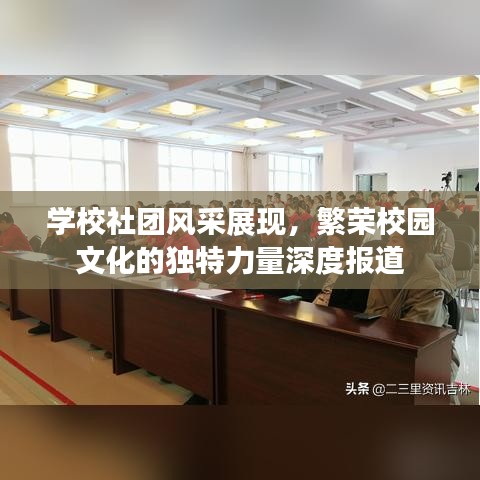 學(xué)校社團風(fēng)采展現(xiàn)，繁榮校園文化的獨特力量深度報道