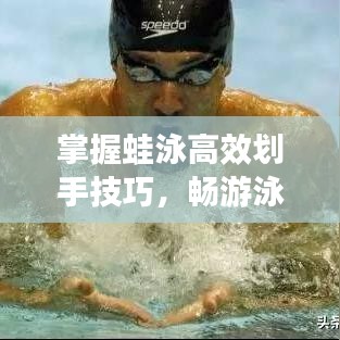 掌握蛙泳高效劃手技巧，暢游泳池無界限