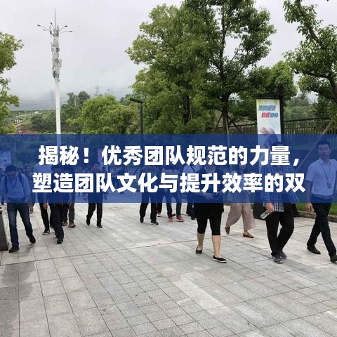 揭秘！優(yōu)秀團(tuán)隊(duì)規(guī)范的力量，塑造團(tuán)隊(duì)文化與提升效率的雙重秘訣