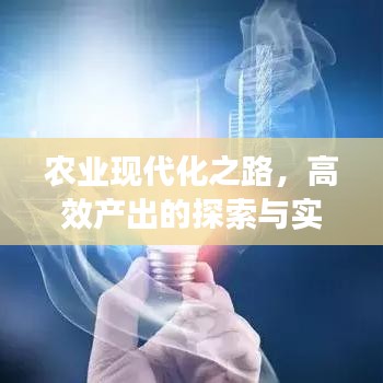 農(nóng)業(yè)現(xiàn)代化之路，高效產(chǎn)出的探索與實(shí)踐
