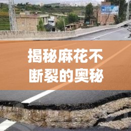 揭秘麻花不斷裂的奧秘，制作技巧全攻略