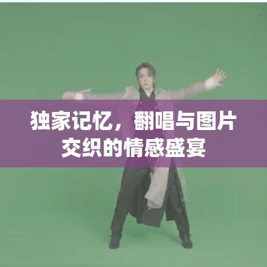 獨家記憶，翻唱與圖片交織的情感盛宴