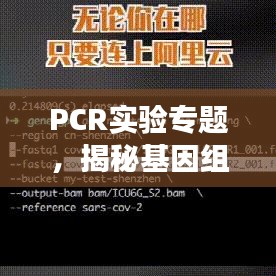 PCR實驗專題，揭秘基因組奧秘探索之旅
