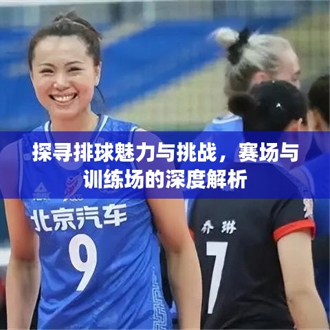 探尋排球魅力與挑戰(zhàn)，賽場(chǎng)與訓(xùn)練場(chǎng)的深度解析