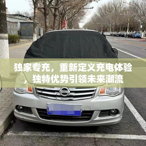 獨(dú)家專充，重新定義充電體驗(yàn)，獨(dú)特優(yōu)勢(shì)引領(lǐng)未來潮流