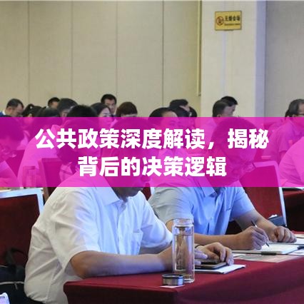 公共政策深度解讀，揭秘背后的決策邏輯