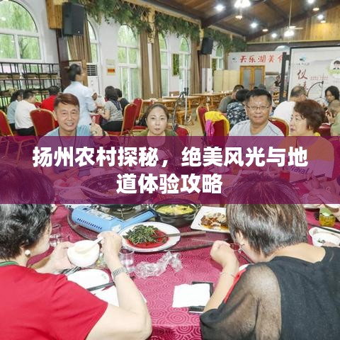 揚州農(nóng)村探秘，絕美風光與地道體驗攻略