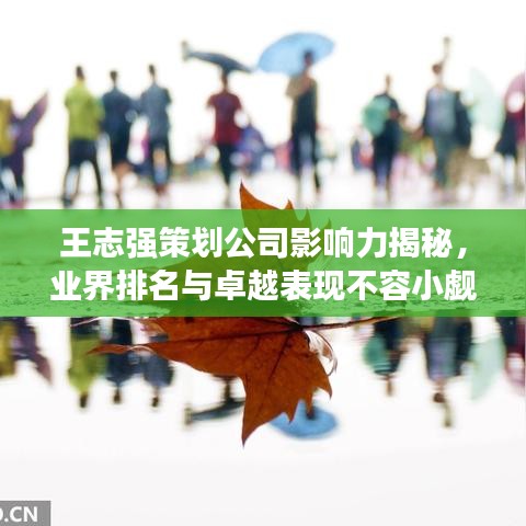王志強(qiáng)策劃公司影響力揭秘，業(yè)界排名與卓越表現(xiàn)不容小覷
