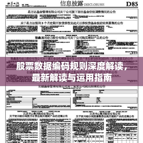 股票數(shù)據(jù)編碼規(guī)則深度解讀，最新解讀與運(yùn)用指南