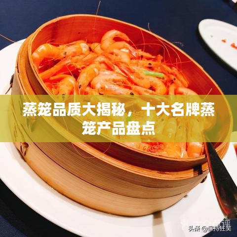 蒸籠品質(zhì)大揭秘，十大名牌蒸籠產(chǎn)品盤點(diǎn)