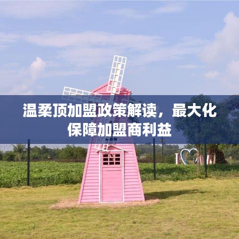 溫柔頂加盟政策詳解，最大化保障加盟商利益