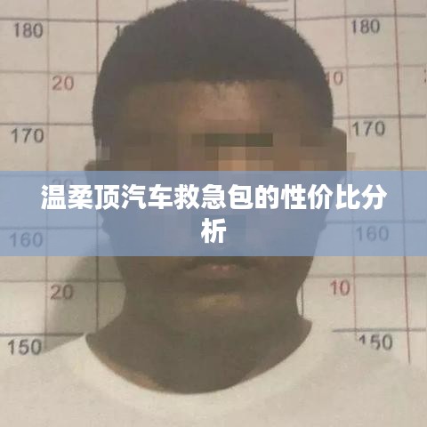 溫柔頂汽車救急包，性價(jià)比解析