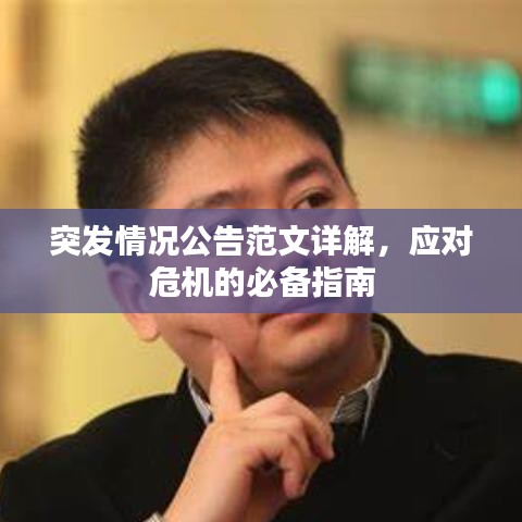 突發(fā)情況公告范文詳解，應(yīng)對危機的必備指南