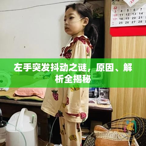 左手突發(fā)抖動之謎，原因、解析全揭秘