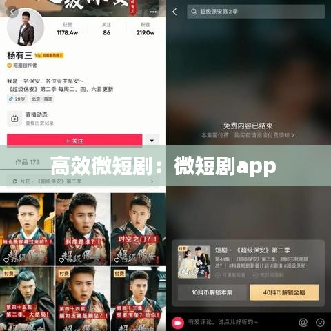 高效微短?。何⒍虅pp 