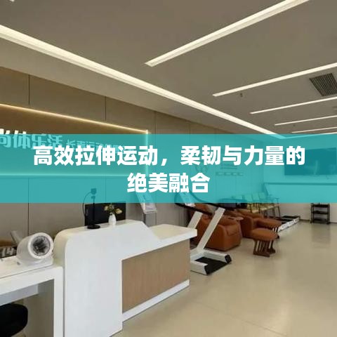 高效拉伸運動，柔韌與力量的絕美融合