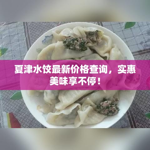 夏津水餃最新價(jià)格查詢，實(shí)惠美味享不停！