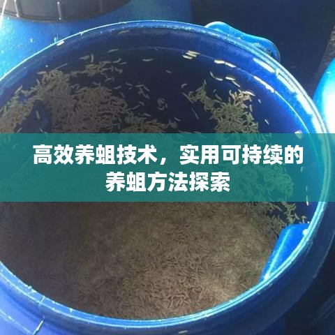 高效養(yǎng)蛆技術(shù)，實用可持續(xù)的養(yǎng)蛆方法探索