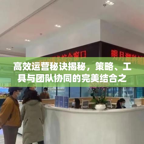 高效運(yùn)營秘訣揭秘，策略、工具與團(tuán)隊(duì)協(xié)同的完美結(jié)合之道
