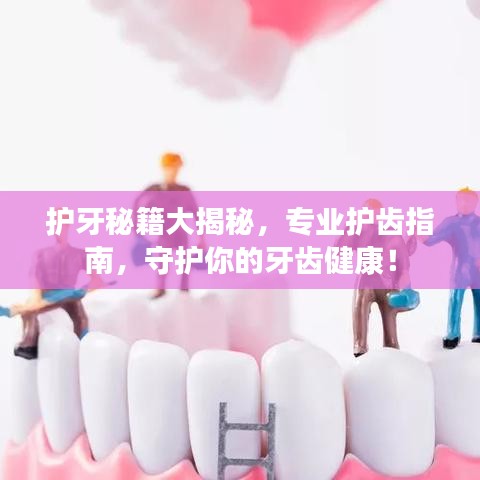 護(hù)牙秘籍大揭秘，專業(yè)護(hù)齒指南，守護(hù)你的牙齒健康！