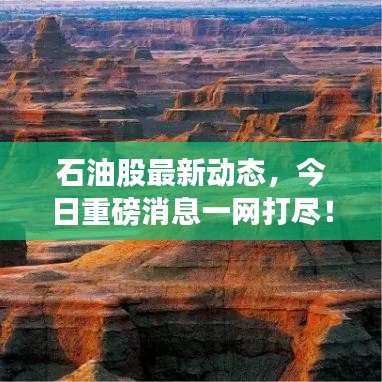 石油股最新動態(tài)，今日重磅消息一網(wǎng)打盡！