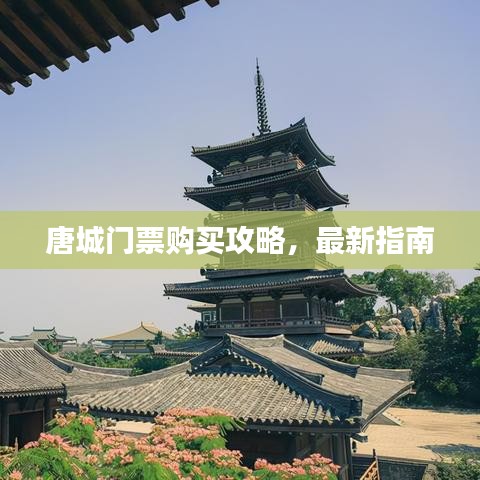 唐城門票購(gòu)買攻略，最新指南