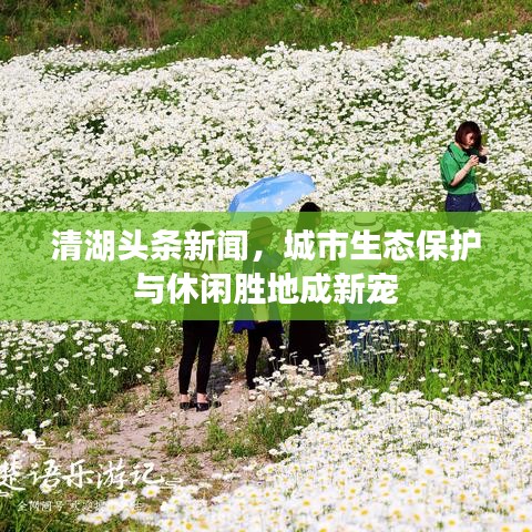 清湖頭條新聞，城市生態(tài)保護(hù)與休閑勝地成新寵