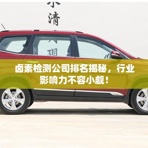 鹵素檢測公司排名揭秘，行業(yè)影響力不容小覷！