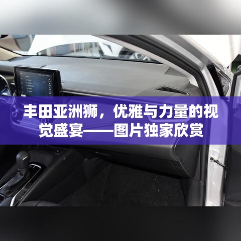 豐田亞洲獅，優(yōu)雅與力量的視覺盛宴——圖片獨(dú)家欣賞