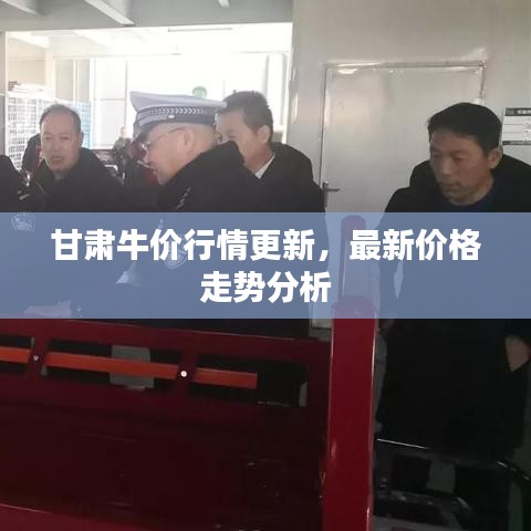 甘肅牛價(jià)行情更新，最新價(jià)格走勢(shì)分析