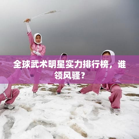 全球武術(shù)明星實(shí)力排行榜，誰(shuí)領(lǐng)風(fēng)騷？