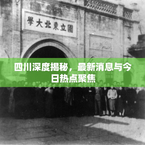四川深度揭秘，最新消息與今日熱點(diǎn)聚焦