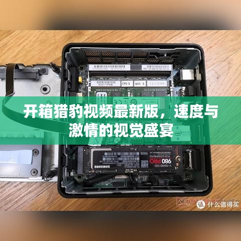 開(kāi)箱獵豹視頻最新版，速度與激情的視覺(jué)盛宴