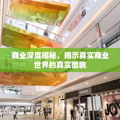 商業(yè)深度揭秘，揭示真實商業(yè)世界的真實面貌