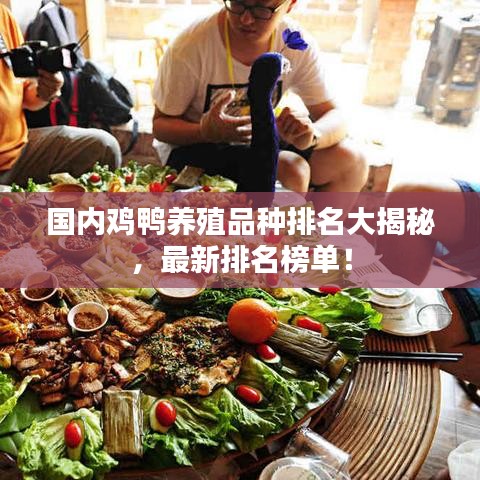 國內(nèi)雞鴨養(yǎng)殖品種排名大揭秘，最新排名榜單！