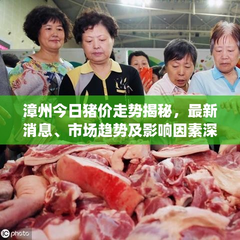 漳州今日豬價走勢揭秘，最新消息、市場趨勢及影響因素深度解析