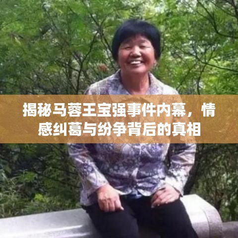 揭秘馬蓉王寶強事件內(nèi)幕，情感糾葛與紛爭背后的真相