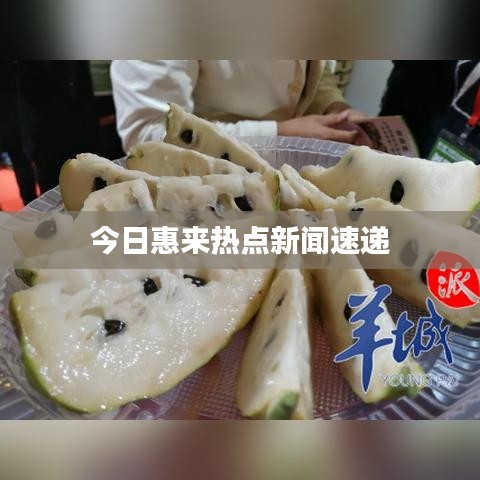 今日惠來熱點(diǎn)新聞速遞