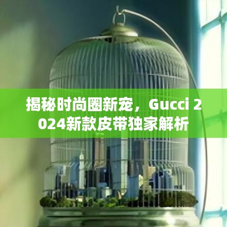 揭秘時尚圈新寵，Gucci 2024新款皮帶獨家解析
