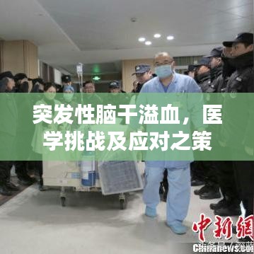突發(fā)性腦干溢血，醫(yī)學(xué)挑戰(zhàn)及應(yīng)對之策