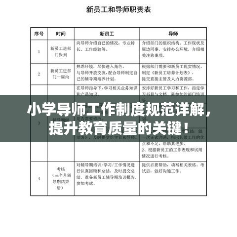 小學(xué)導(dǎo)師工作制度規(guī)范詳解，提升教育質(zhì)量的關(guān)鍵！