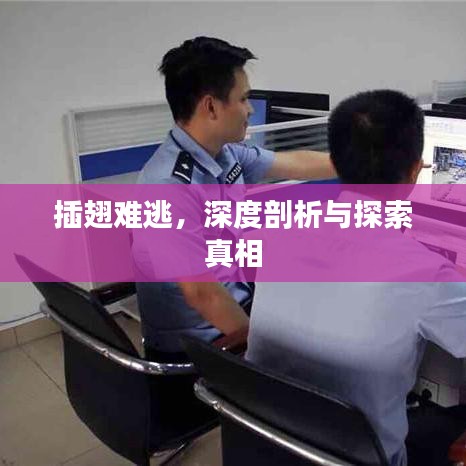 插翅難逃，深度剖析與探索真相