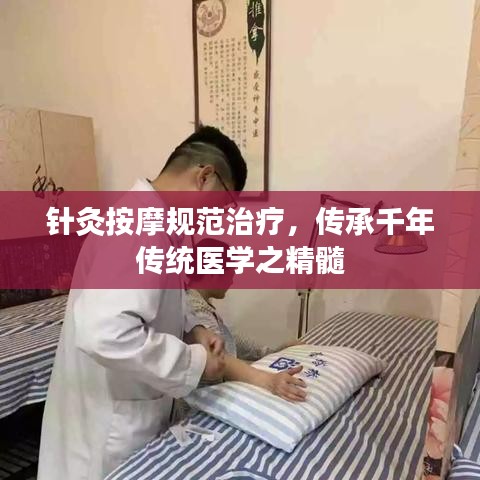 針灸按摩規(guī)范治療，傳承千年傳統(tǒng)醫(yī)學之精髓