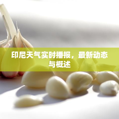 印尼天氣實時播報，最新動態(tài)與概述