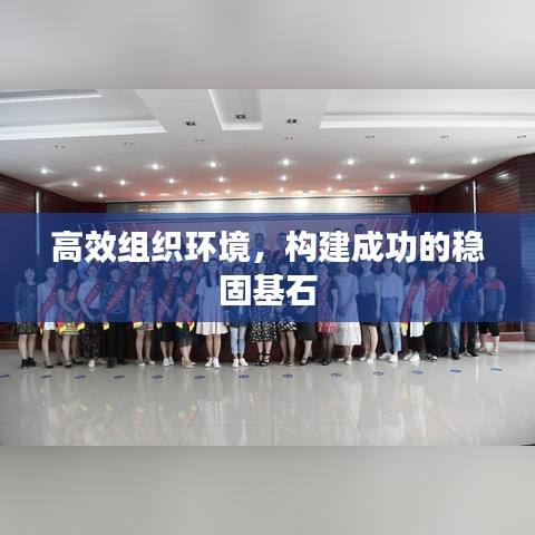 高效組織環(huán)境，構(gòu)建成功的穩(wěn)固基石