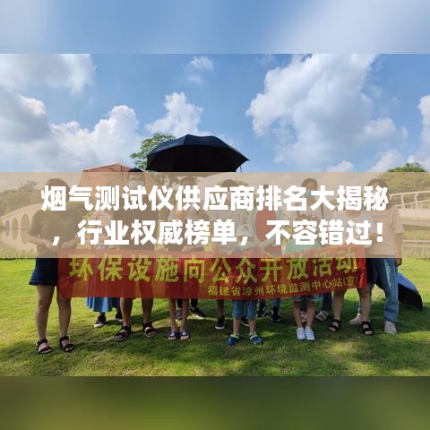 煙氣測試儀供應(yīng)商排名大揭秘，行業(yè)權(quán)威榜單，不容錯過！