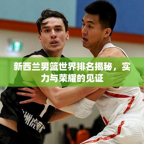 新西蘭男籃世界排名揭秘，實(shí)力與榮耀的見(jiàn)證