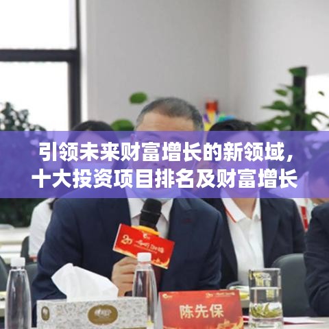 引領(lǐng)未來財富增長的新領(lǐng)域，十大投資項(xiàng)目排名及財富增長機(jī)會分析