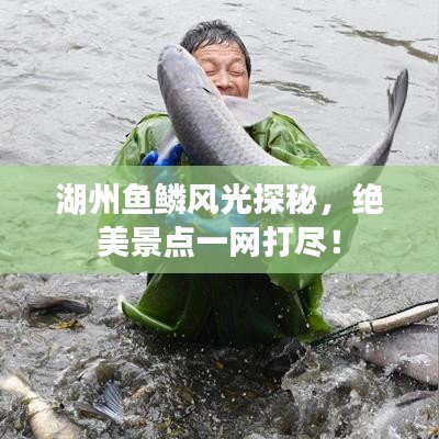 湖州魚(yú)鱗風(fēng)光探秘，絕美景點(diǎn)一網(wǎng)打盡！
